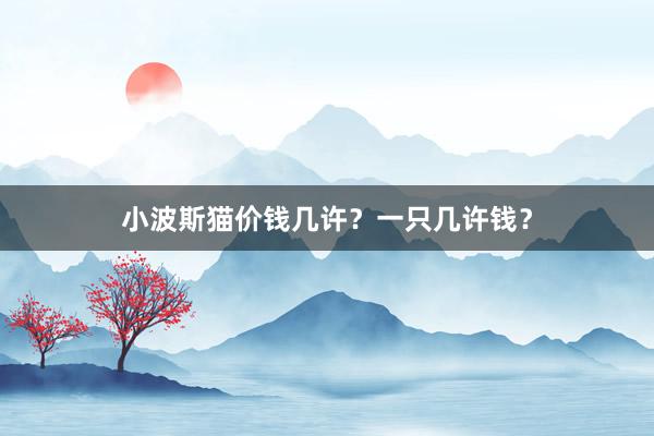 小波斯猫价钱几许？一只几许钱？